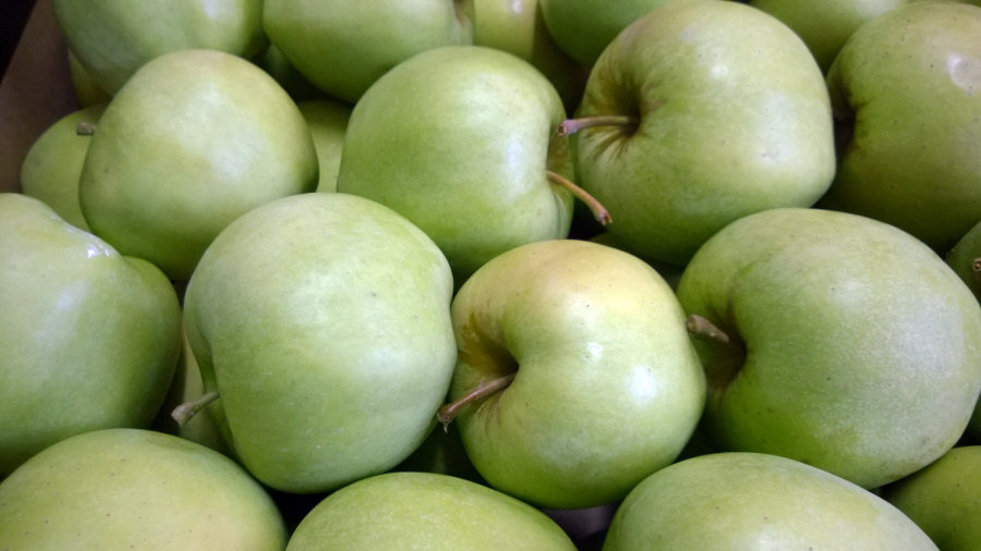 Esportatore polacco di frutta, mele, pere, prugne, ciliegie, ingrosso Polonia 01