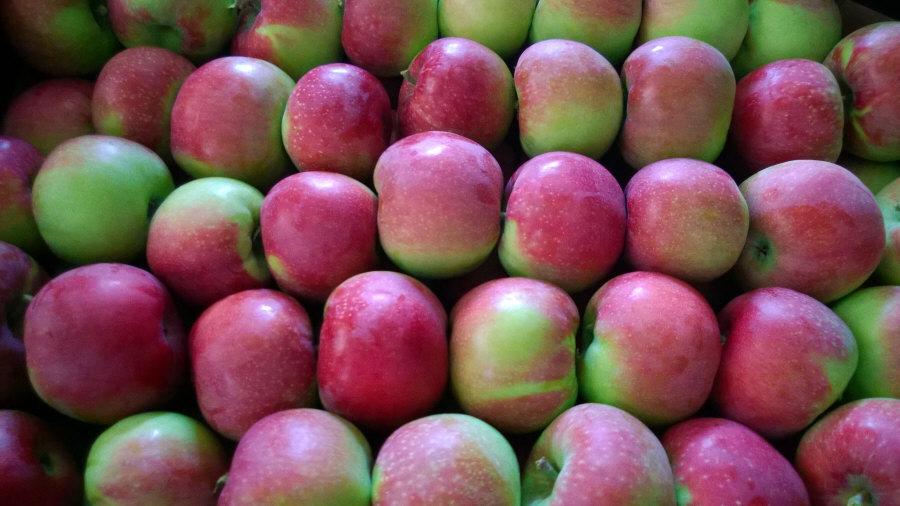 Esportatore polacco di frutta, mele, pere, prugne, ciliegie, ingrosso Polonia 01